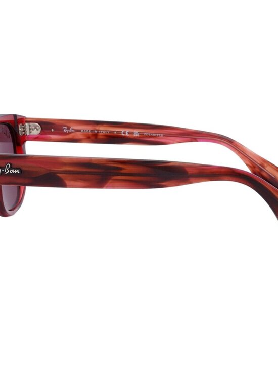 RAY BAN OG Wayfarers